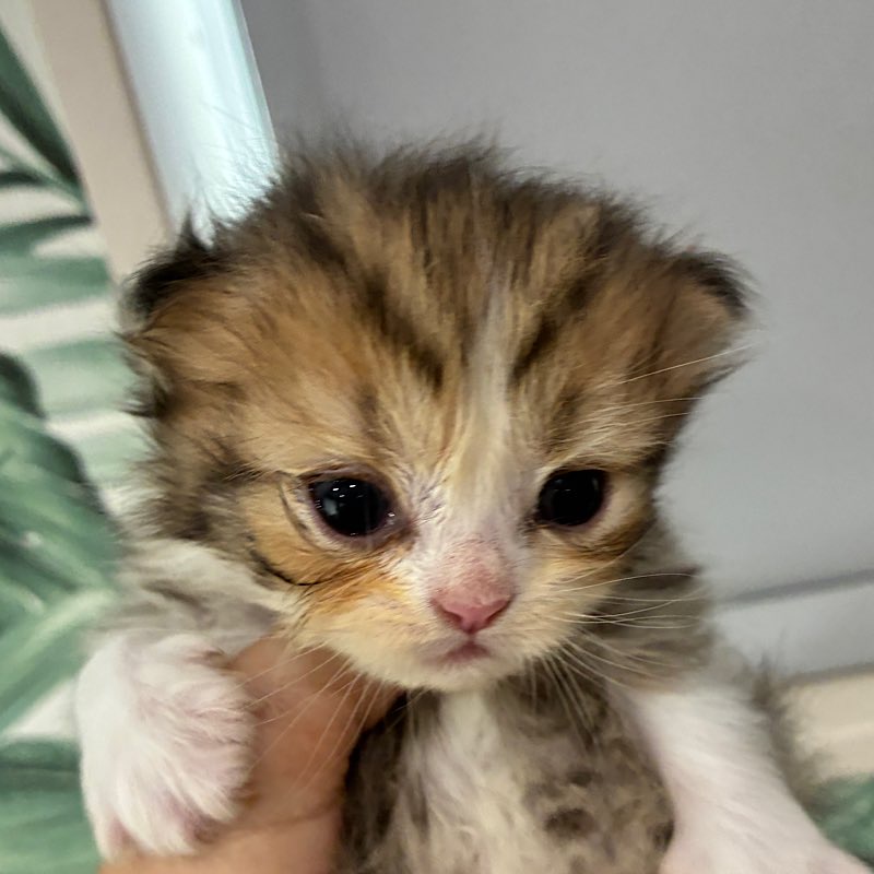 セナちゃん0711 コピー