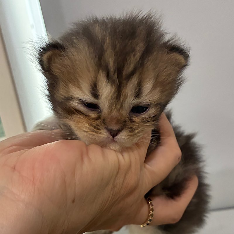 ノアちゃん下向き0711 コピー