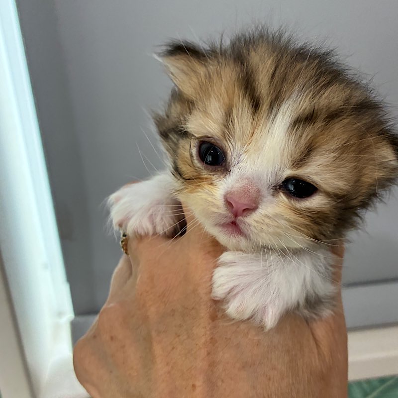 セナちゃん0711 2