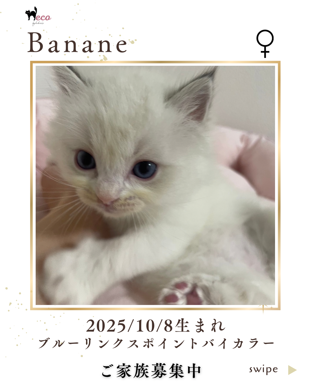 バナーヌちゃん