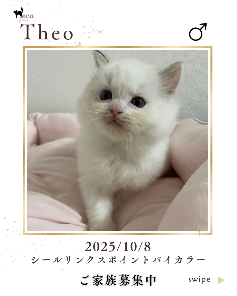 テオ君　かわいい