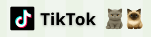 cattiktok